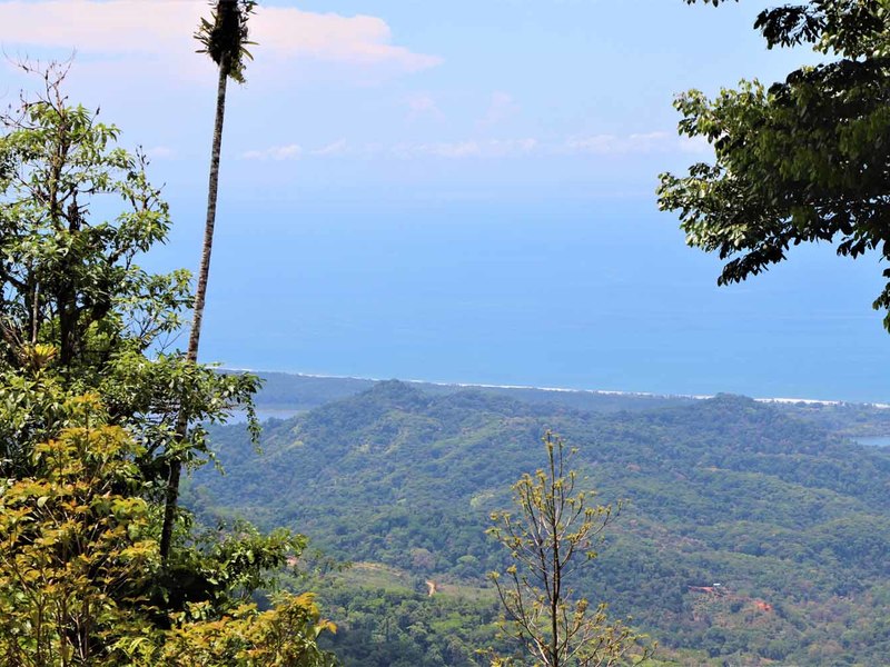 0 bed Lot/Land For Sale in Ojochal,  - 1